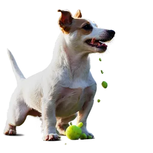 Jack Russell Terrier Play Png Cce80 PNG image