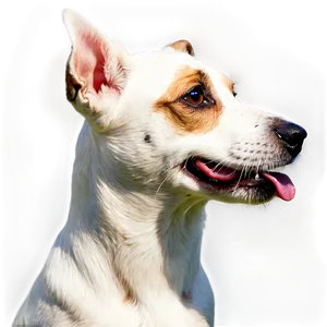 Jack Russell Terrier Profile Png 22 PNG image