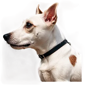 Jack Russell Terrier Profile PNG Pbk PNG