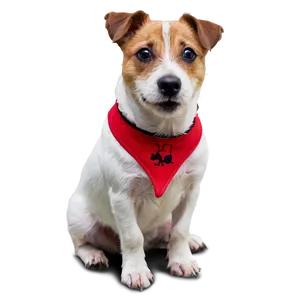 Jack Russell Terrier Sitting PNG Clx46