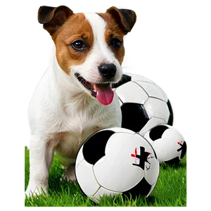 Jack Russell With Ball PNG Mfs14 PNG