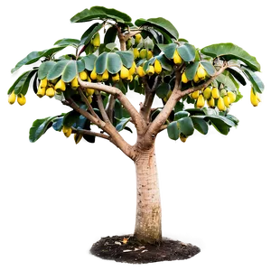 Jackfruit Tree PNG Wwq PNG