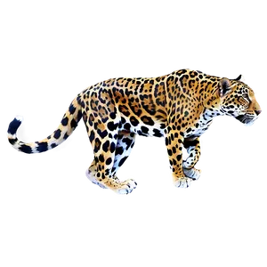 Jaguar Animal PNG Gso30