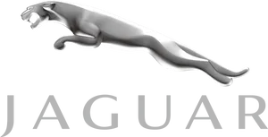 Jaguar Car Logo Silver PNG image