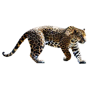 Jaguars And Global Warming Png 38 PNG image