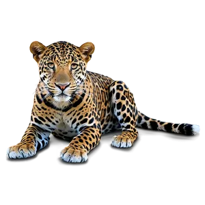 Jaguars Conservation Efforts Png Max PNG image