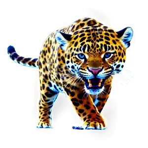 Jaguars D