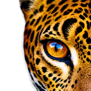 Jaguars Eye Close-up Png 06252024 PNG image