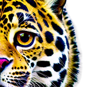 Jaguars Eye Close-up Png 43 PNG image