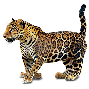Jaguars In National Parks PNG 06252024 PNG