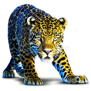 Jaguars In Zoos Png 24 PNG image