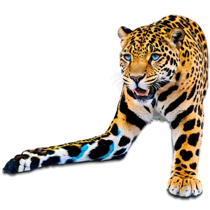 Jaguars In Zoos Png 32 PNG image