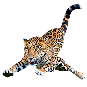 Jaguars Leaping Ability PNG Wdx PNG
