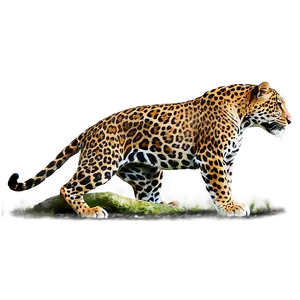 Jaguars Mating Rituals PNG 42 PNG