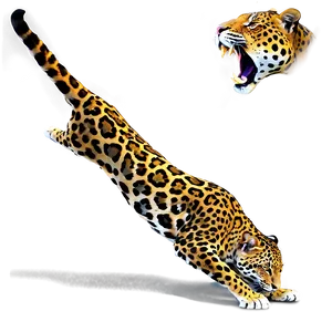 Jaguars On The Hunt PNG 06252024