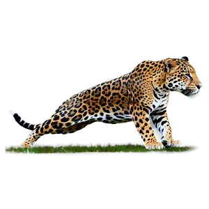 Jaguars On The Hunt Png Qjm52 PNG image