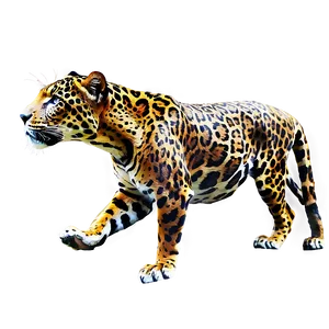 Jaguars Prowling Jungle PNG 22 PNG
