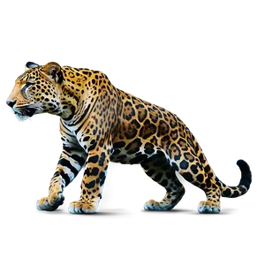 Jaguars Prowling Jungle PNG 88 PNG
