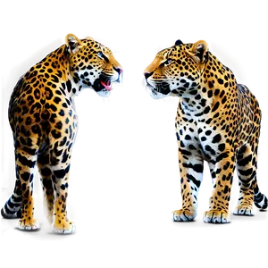 Jaguars Social Behavior Png 06252024 PNG image