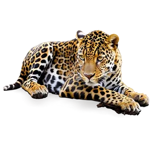 Jaguars Sunbathing Png 06252024 PNG image