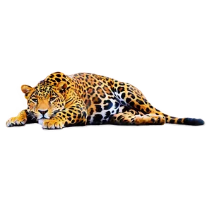 Jaguars Sunbathing Png 9 PNG image