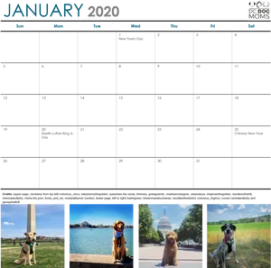 January2020 Dog Themed Calendar PNG image