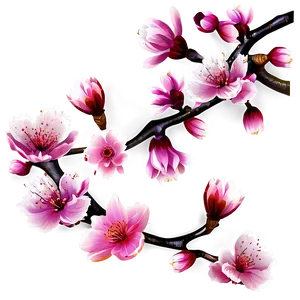 Japanese Cherry Blossom Png Urn90 PNG image