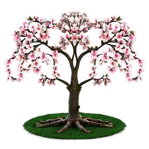 Japanese Cherry Tree PNG 05242024