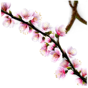 Japanese Cherry Tree Png 06212024 PNG image