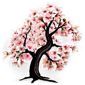 Japanese Cherry Tree Png Opr PNG image