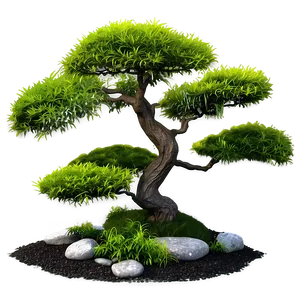 Japanese Garden Shrubs PNG Bvf