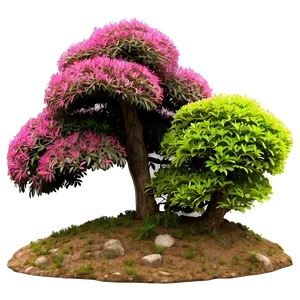 Japanese Garden Shrubs PNG Dgq PNG