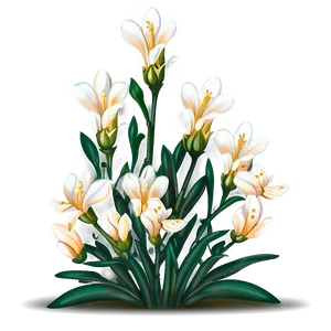 Jasmine Flower Drawing PNG Rfn