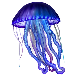 Jellyfish Fantasy Jelly PNG 21 PNG