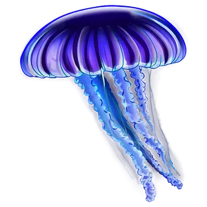 Jellyfish Transparent PNG 05262024 PNG