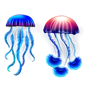 Jellyfish Transparent PNG 10 PNG