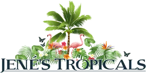 Jenes Tropicals Logo Flamingos Palm Tree PNG image