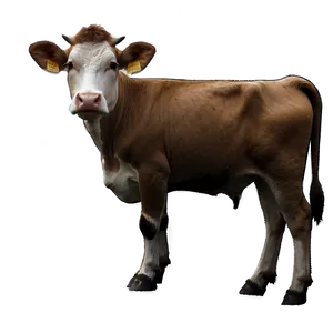 Jersey Cow Png 13 PNG image