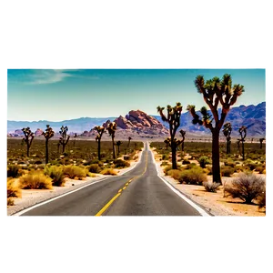 Joshua Tree Desert Road Png 31 PNG image