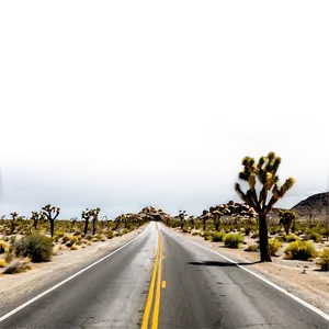 Joshua Tree Desert Road PNG Fbf69 PNG