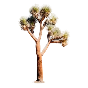 Joshua Tree In Pastel Colors Png Gmp41 PNG image