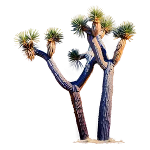 Joshua Tree In Pastel Colors PNG Xqu92 PNG