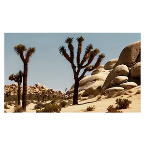 Joshua Tree In Sepia Tone PNG Ddm PNG