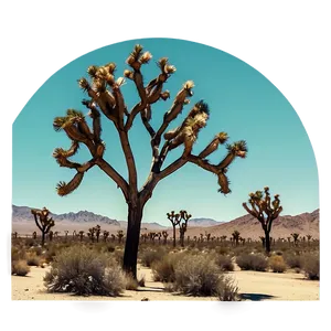 Joshua Tree In Vintage Filter Png 75 PNG image