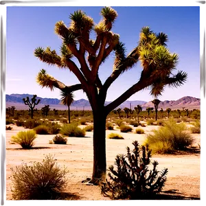 Joshua Tree In Vintage Filter Png Mlm PNG image