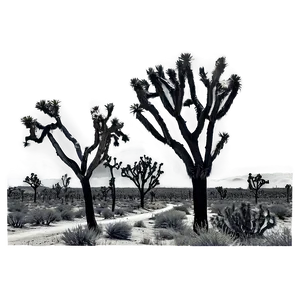 Joshua Tree Monochrome Scene PNG 59