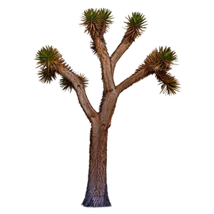Joshua Tree National Park Map PNG Gqs42 PNG