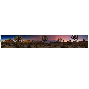 Joshua Tree Night Sky Panorama PNG 06262024