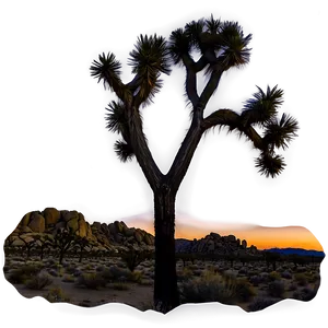 Joshua Tree Night Sky Panorama PNG 06262024 PNG