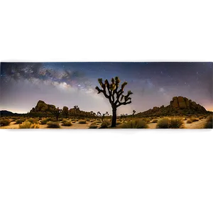 Joshua Tree Night Sky Panorama Png 06262024 PNG image